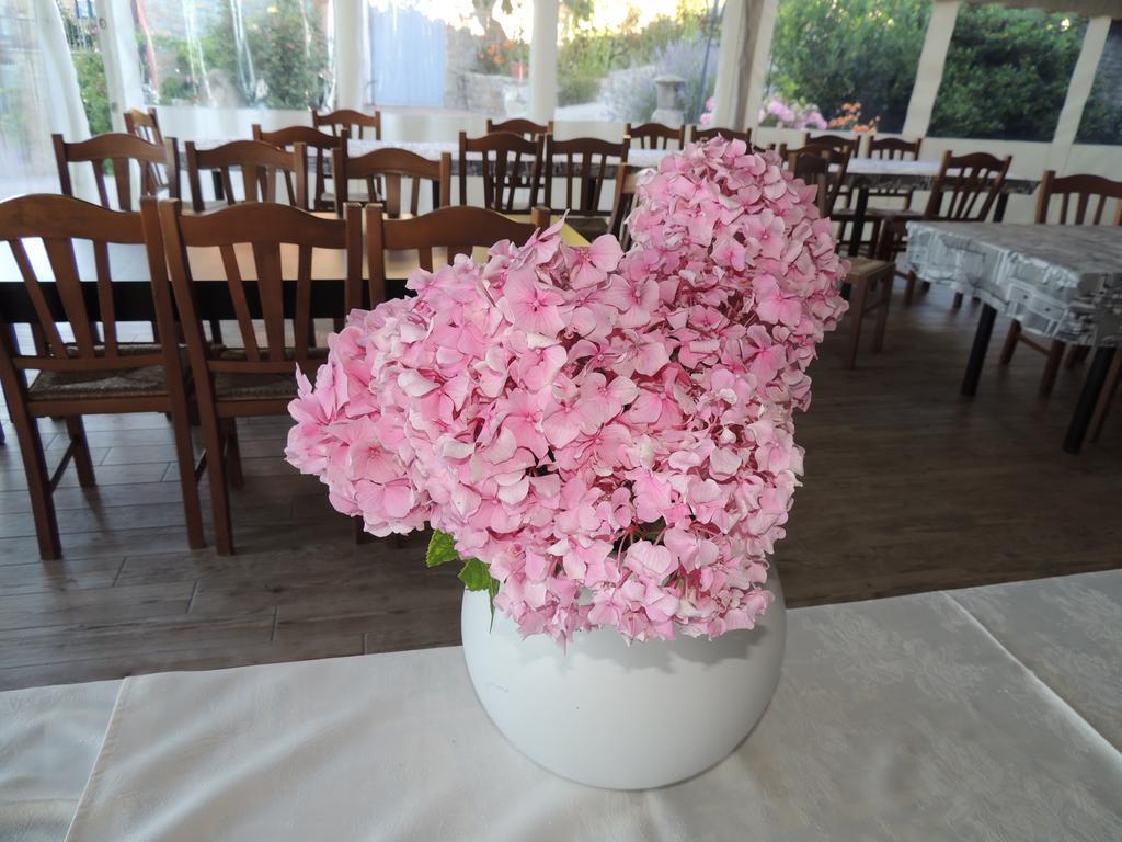 Bed and Breakfast Da Fabiana Bossolasco Exterior foto
