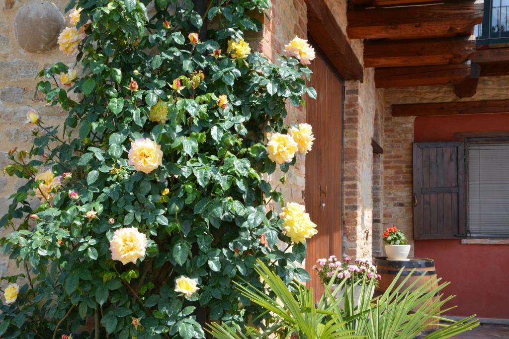 Bed and Breakfast Da Fabiana Bossolasco Exterior foto