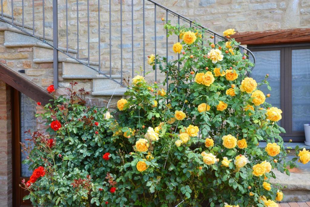 Bed and Breakfast Da Fabiana Bossolasco Exterior foto